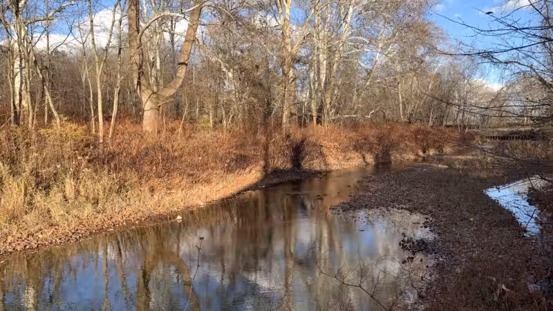 Ransom Park - Barton, NY