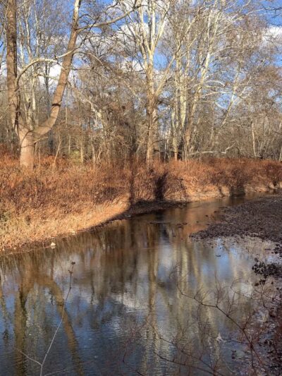 Ransom Park - Barton, NY