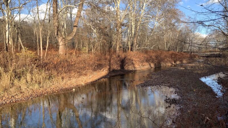Ransom Park - Barton, NY