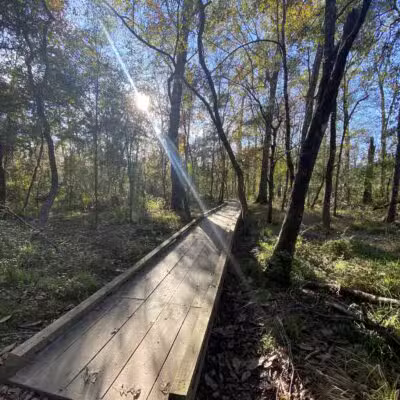 Forest Community Park - Baton Rouge, LA