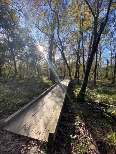 Forest Community Park - Baton Rouge, LA