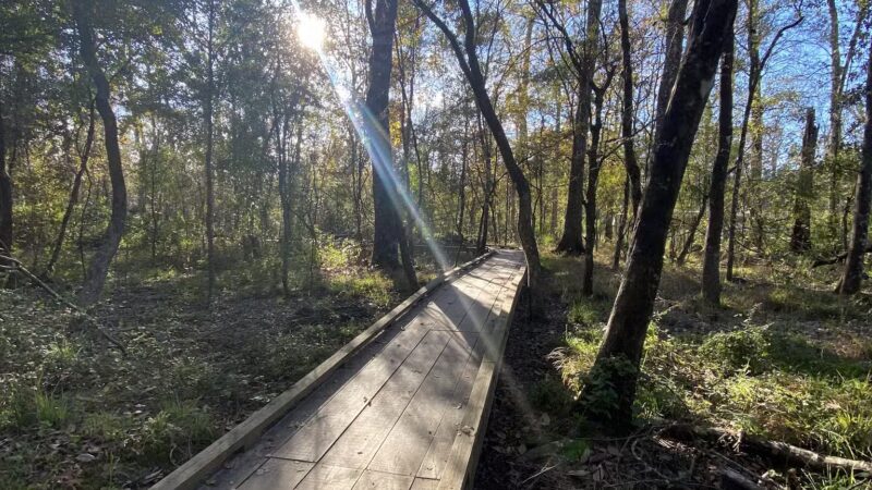Forest Community Park - Baton Rouge, LA