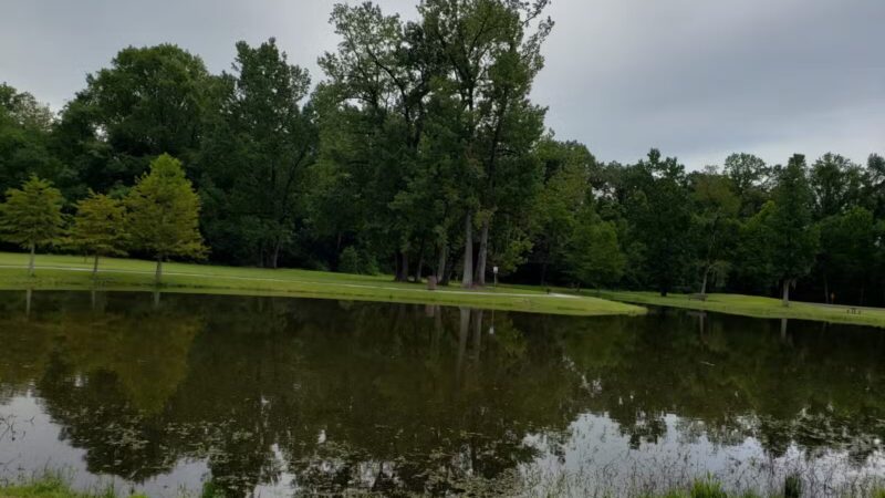 Forest Community Park - Baton Rouge, LA