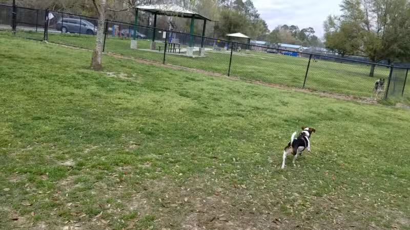 Forest Community Park - Baton Rouge, LA