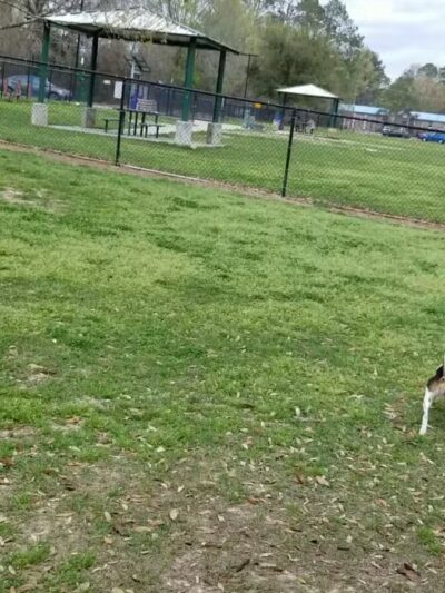 Forest Community Park - Baton Rouge, LA