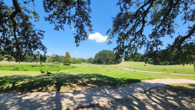 City-Brooks Community Park - Baton Rouge, LA