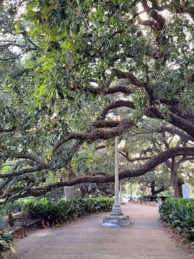 City-Brooks Community Park - Baton Rouge, LA
