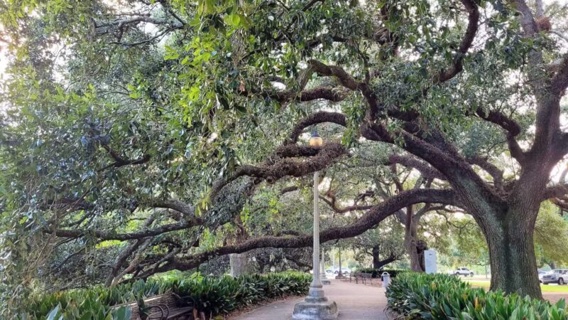 City-Brooks Community Park - Baton Rouge, LA