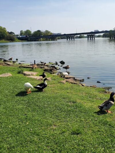City-Brooks Community Park - Baton Rouge, LA