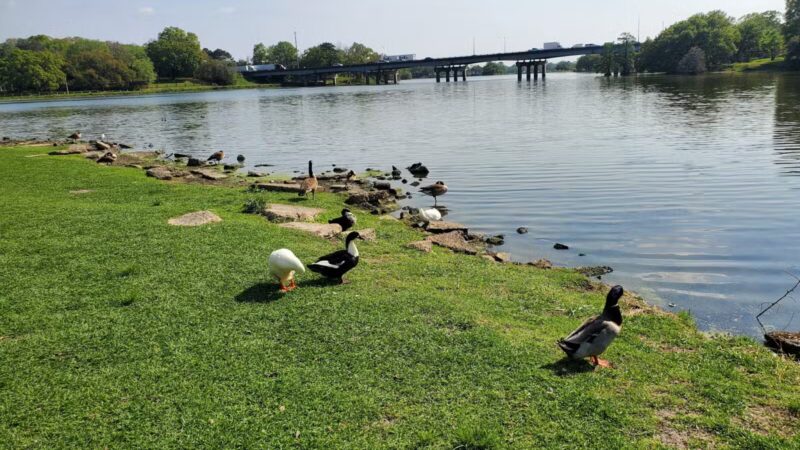 City-Brooks Community Park - Baton Rouge, LA