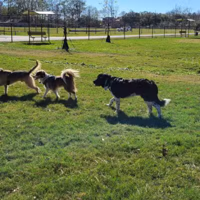 Dog Park at Lovett Road Park - Baton Rouge, LA
