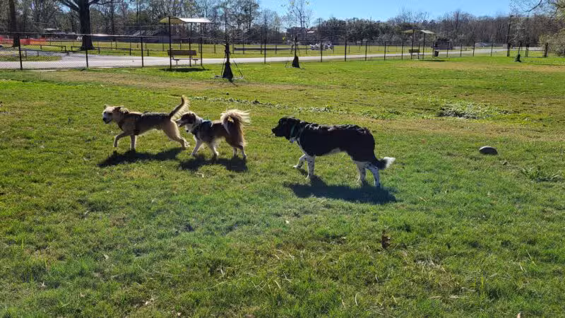 Dog Park at Lovett Road Park - Baton Rouge, LA