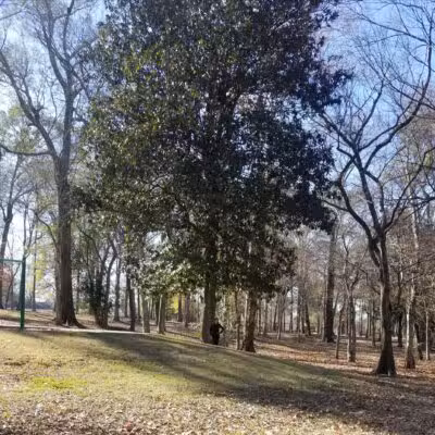 Old Hammond Highway Park - Baton Rouge, LA