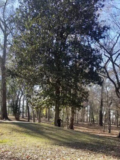Old Hammond Highway Park - Baton Rouge, LA