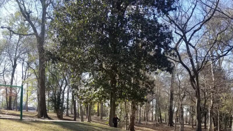 Old Hammond Highway Park - Baton Rouge, LA