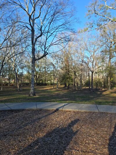 Old Hammond Highway Park - Baton Rouge, LA