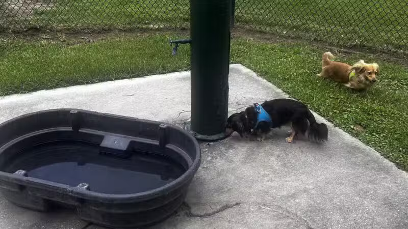 Raising Canes Dog Park at Forest Community Park - Baton Rouge, LA