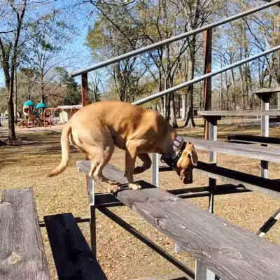 Sharp Road Park - Baton Rouge, LA