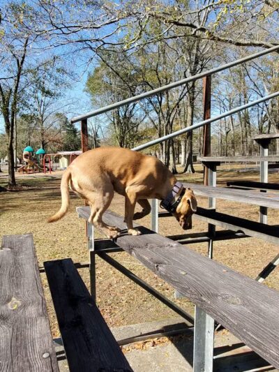 Sharp Road Park - Baton Rouge, LA