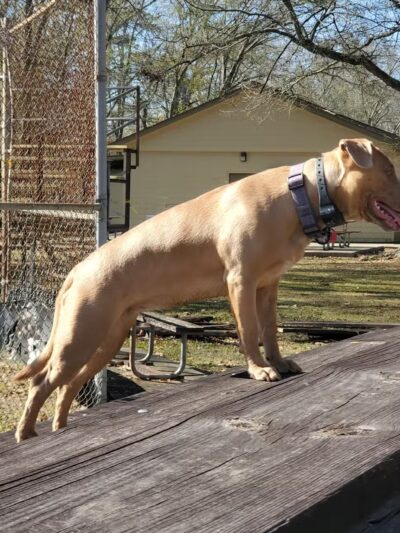 Sharp Road Park - Baton Rouge, LA