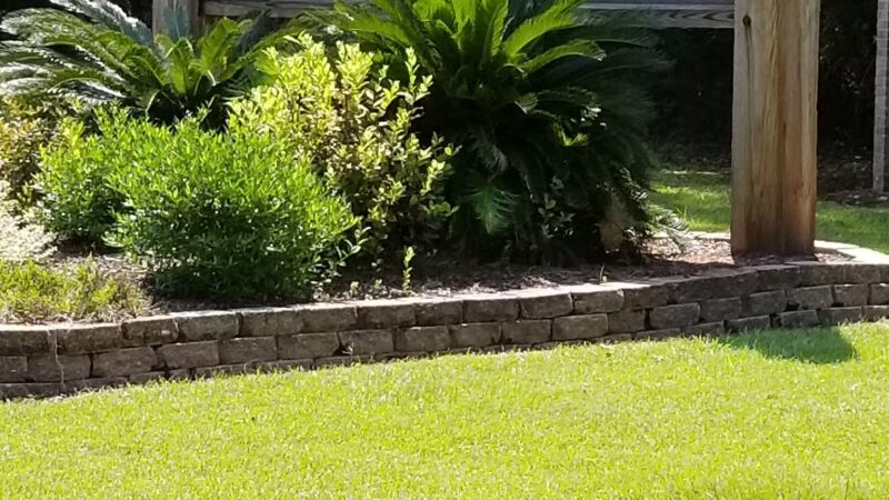 Tams Drive Park - Baton Rouge, LA
