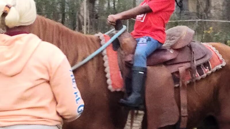 West Brookstown Park - Baton Rouge, LA