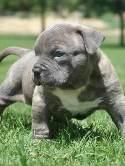 West Brookstown Park - Baton Rouge, LA