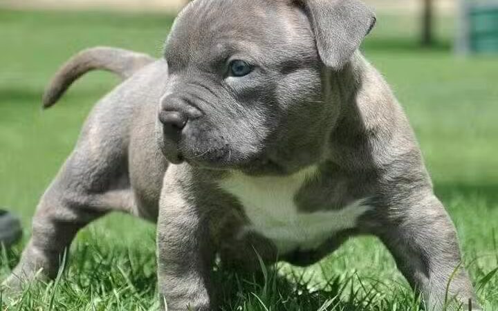 West Brookstown Park - Baton Rouge, LA