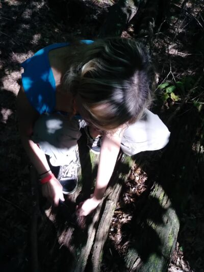 Blankley Picnic Area - Bedford, PA