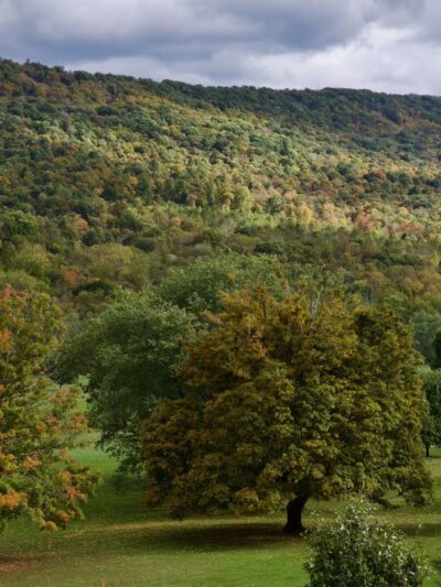 Shuster Way Heritage Trail - Bedford, PA