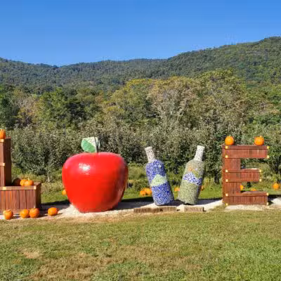Peaks of Otter Winery - Bedford, VA