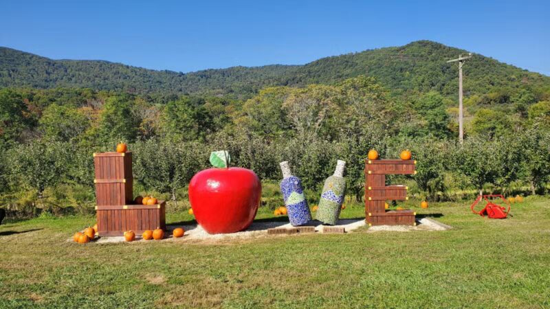 Peaks of Otter Winery - Bedford, VA