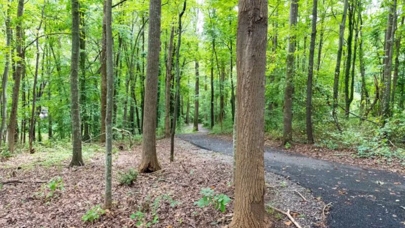 Reynolds Memorial Park - Bedford, VA