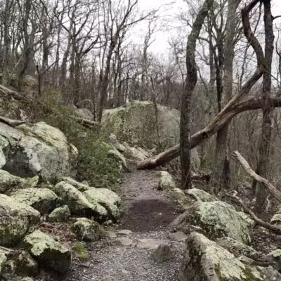 Sharp Top Mountain - Bedford, VA
