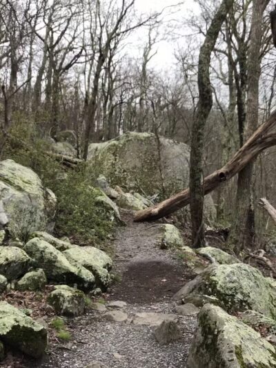 Sharp Top Mountain - Bedford, VA