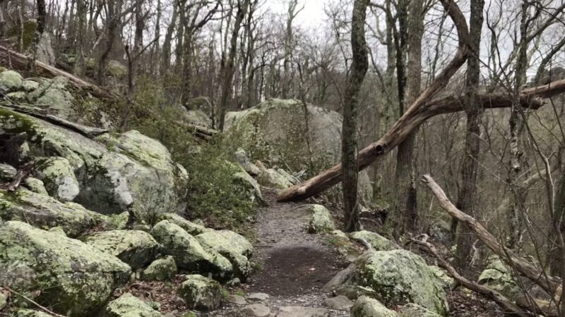 Sharp Top Mountain - Bedford, VA