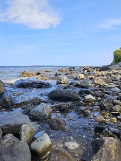 Belfast City Park - Belfast, ME