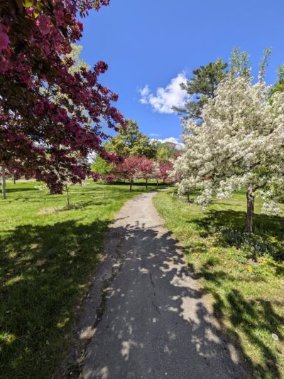 Belfast City Park - Belfast, ME
