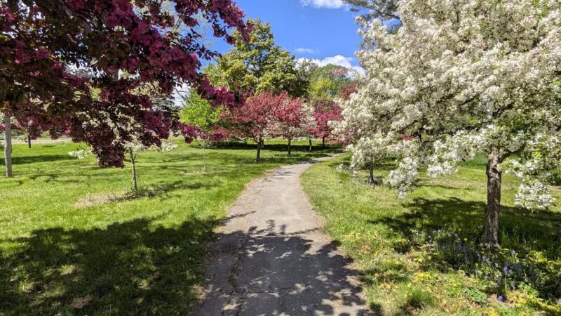 Belfast City Park - Belfast, ME