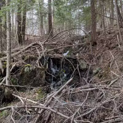 Passagassawakeag Rail Trail - Belfast, ME