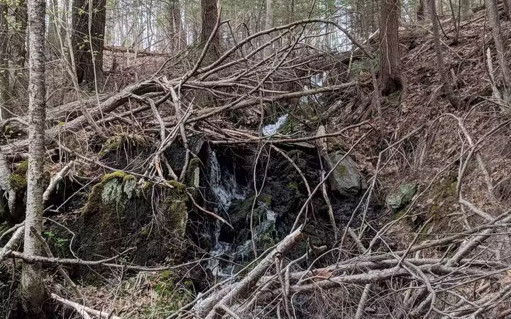 Passagassawakeag Rail Trail - Belfast, ME