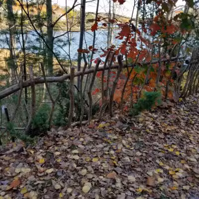 Passagassawakeag Rail Trail - Belfast, ME