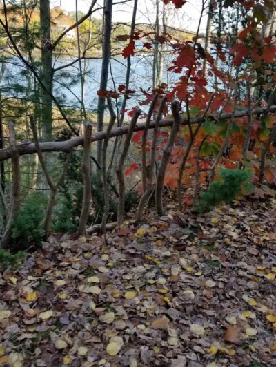 Passagassawakeag Rail Trail - Belfast, ME