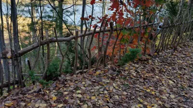 Passagassawakeag Rail Trail - Belfast, ME