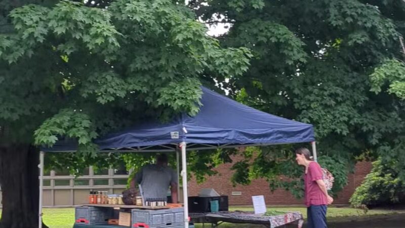 Hetty Green Park - Bellows Falls, VT