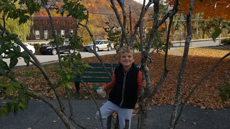 Hetty Green Park - Bellows Falls, VT