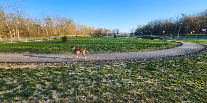Bellville Dog Park Finnigans Run - Bellville, OH