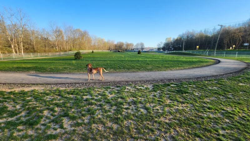 Bellville Dog Park Finnigans Run - Bellville, OH