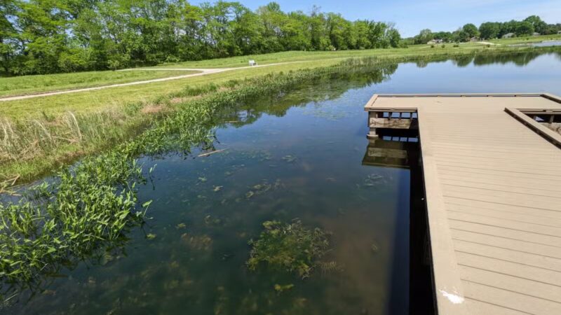 Cleveland Lake Regional Park - Belton, MO