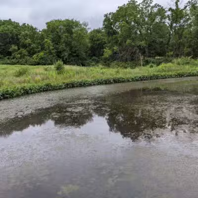 Cleveland Lake Regional Park - Belton, MO